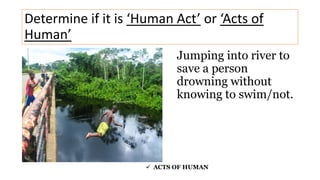 Jumping into river to
save a person
drowning without
knowing to swim/not.
Determine if it is ‘Human Act’ or ‘Acts of
Human’
 ACTS OF HUMAN
 