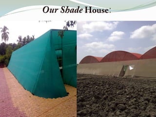 Green/poly house accessories