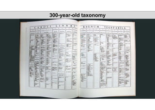 300-year-old taxonomy
 