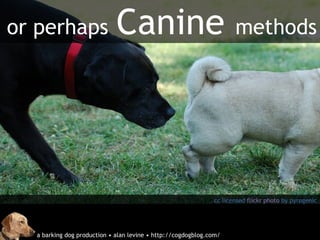 or perhaps Canine methods cc licensed flickr photo by pyrogenic