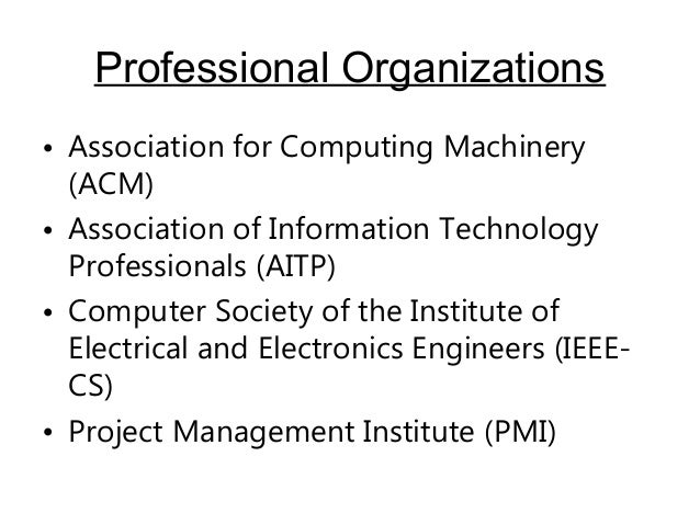 ethics for it professionals and it users it professional organizations