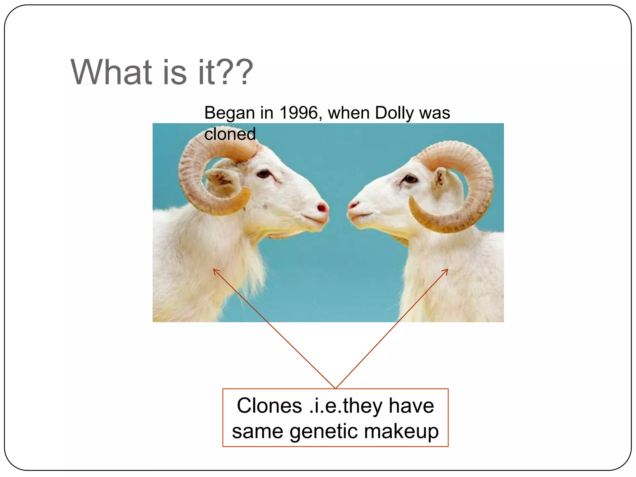 Ethics in animal cloning | PPTX