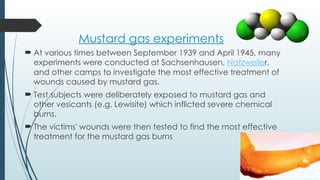 Mustard gas experiments
 At various times between September 1939 and April 1945, many
experiments were conducted at Sachsenhausen, Natzweiler,
and other camps to investigate the most effective treatment of
wounds caused by mustard gas.
 Test subjects were deliberately exposed to mustard gas and
other vesicants (e.g. Lewisite) which inflicted severe chemical
burns.
 The victims' wounds were then tested to find the most effective
treatment for the mustard gas burns
 
