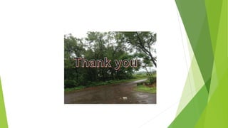 Ethics in Health Research -Final.pptx