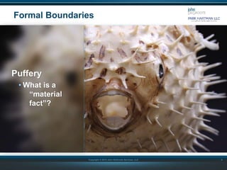 Copyright © 2015 John DeGroote Services, LLC
Formal Boundaries
9
Puffery
• What is a
“material
fact”?
 