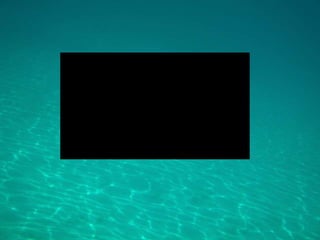 Ethics in the Work Place www.mannrentoy.com