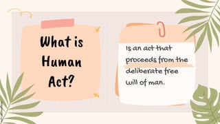 Is an act that
proceeds from the
deliberate free
will of man.
What is
Human
Act?
 
