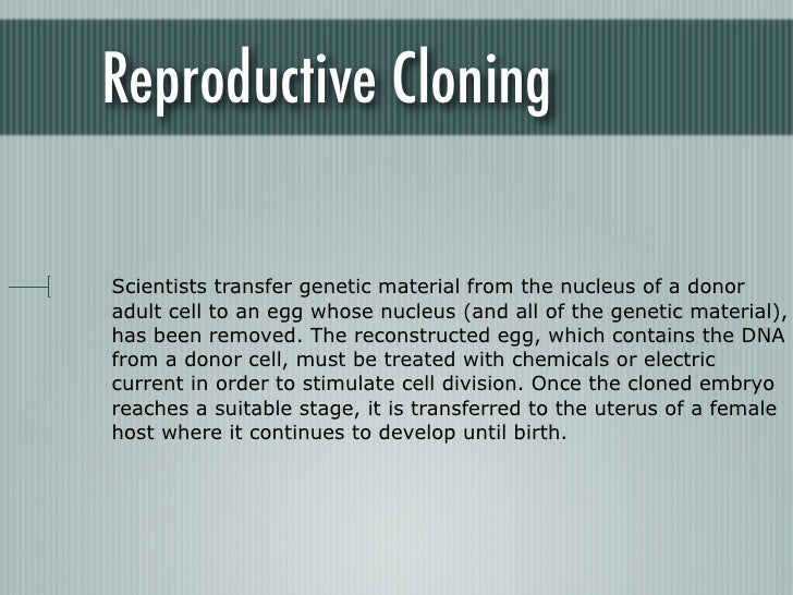 Ethics Of Cloning On A Global Scale