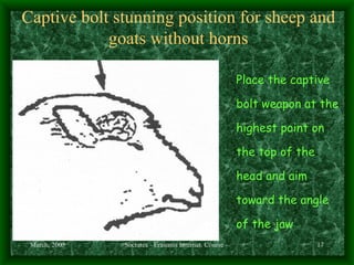 Ethics Of Slaughter Procedures | PPT