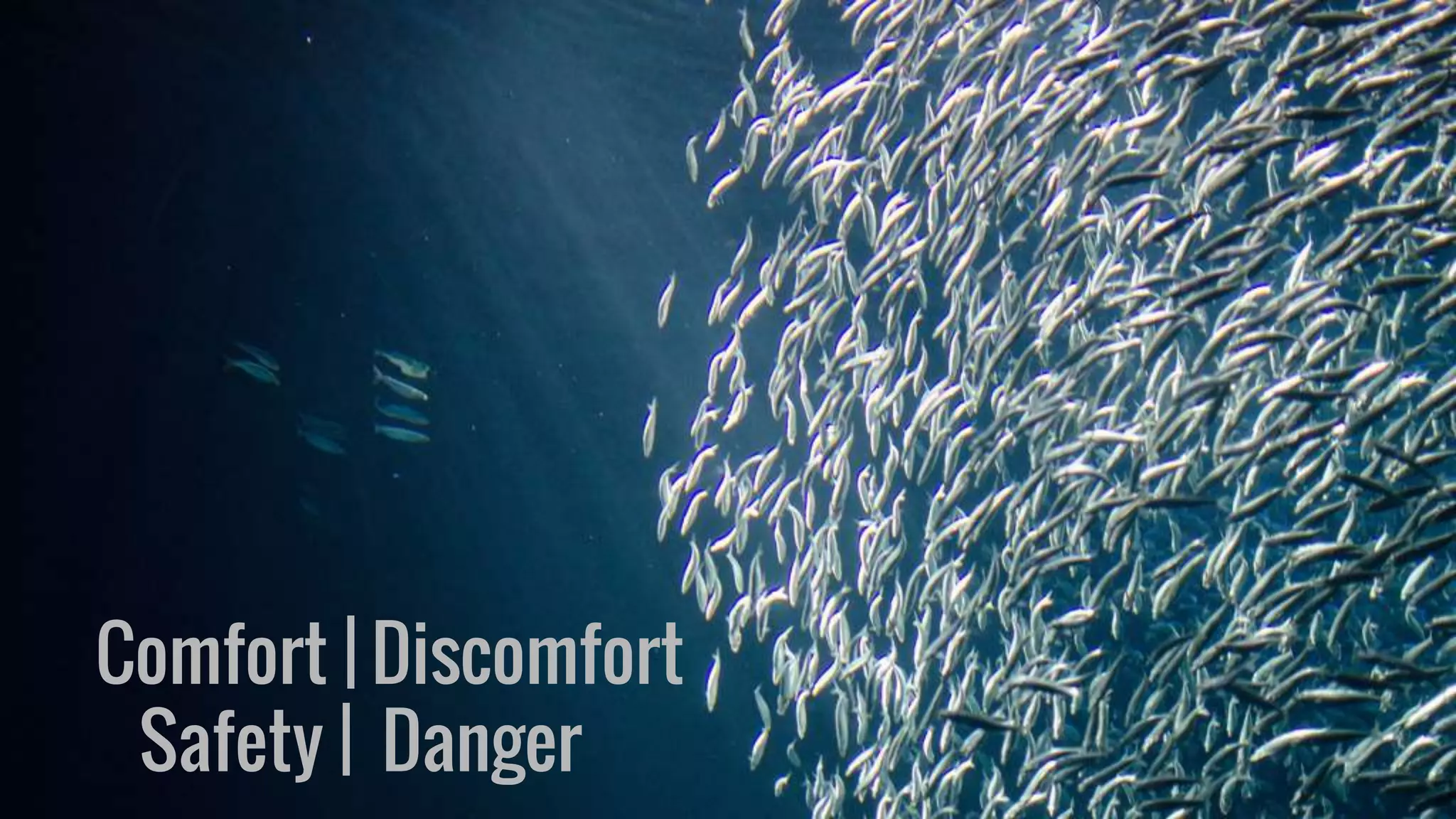 Comfort | Discomfort
Safety | Danger
 