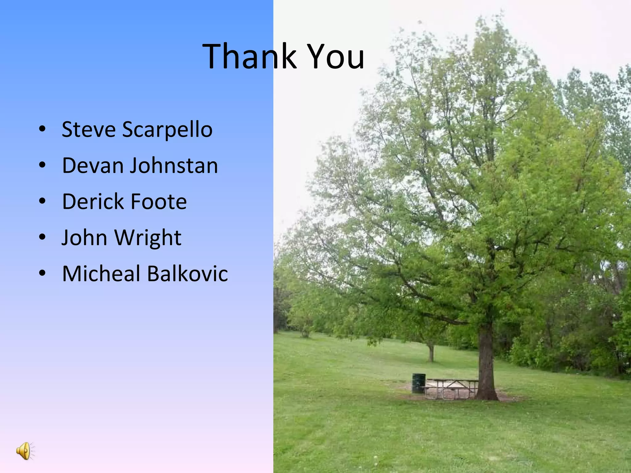 Thank You Steve Scarpello Devan Johnstan Derick Foote John Wright Micheal Balkovic 