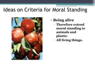 Ideas on Criteria for Moral Standing
• Being alive
▫ Therefore extend
moral standing to
animals and
plants:
▫ All living things.
 