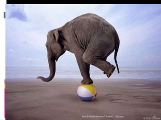 Ihab B Abdalrahman (Tarawa)   8/4/2011   75
 