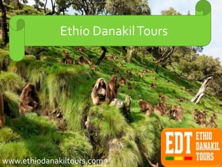 Ethio DanakilTours
www.ethiodanakiltours.com
 