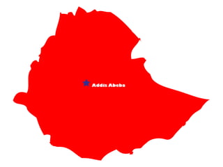 Addis Abeba
 