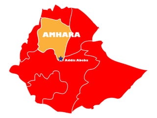AMHARA


   Addis Abeba
 