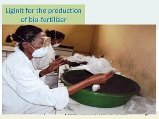 Liginit for the production
of bio-fertilizer
 
