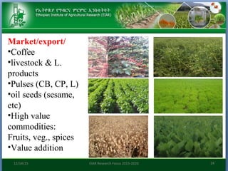 Research focus of Ethiopian Institute of Agricultural Research (EIAR)