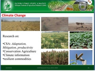 Research focus of Ethiopian Institute of Agricultural Research (EIAR)