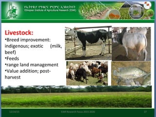 Research focus of Ethiopian Institute of Agricultural Research (EIAR)