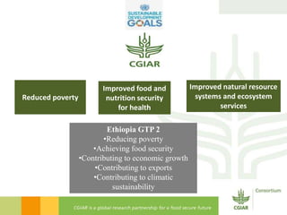 Introducing the CGIAR in Ethiopia