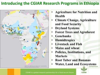 Introducing the CGIAR in Ethiopia