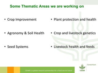 Introducing the CGIAR in Ethiopia