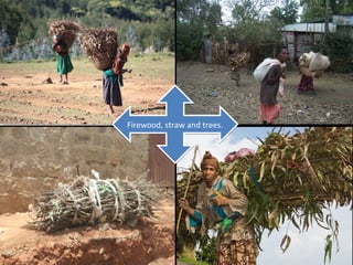 Firewood, straw and trees.
 