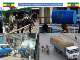 Trucks, animals and people all sharing the busy roads.
 