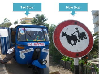 Taxi Stop   Mule Stop
 