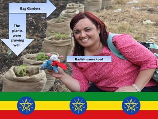 Bag Gardens



  The
 plants
 were
growing
  well


                  Radish came too!
 