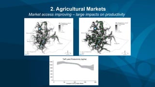 2. Agricultural Markets
Market access improving – large impacts on productivity
 