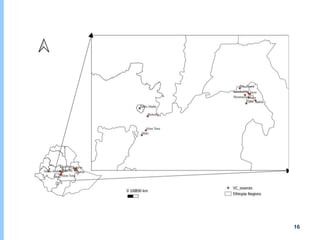 Understanding chicken and vegetable value chains in Harar and Dire Dawa, Ethiopia: Food safety perspectives