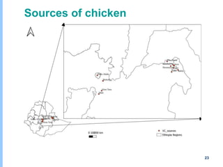Understanding chicken and vegetable value chains in Harar and Dire Dawa, Ethiopia: Food safety perspectives