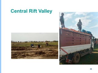 Understanding chicken and vegetable value chains in Harar and Dire Dawa, Ethiopia: Food safety perspectives