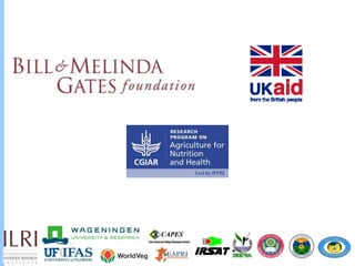 Understanding chicken and vegetable value chains in Harar and Dire Dawa, Ethiopia: Food safety perspectives