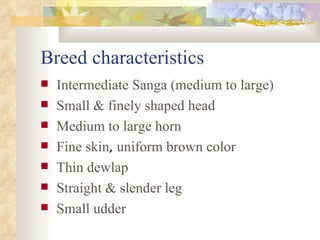 ILRI-BMZ Project on Improving the Livelihoods of Poor Livestock-keepers in Africa through Community-Based Management of Indigenous Farm Animal Genetic Resources: Country report Ethiopia: Oct 2004-Sept 2005 