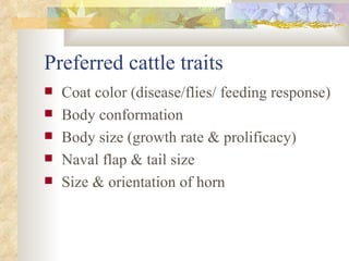 ILRI-BMZ Project on Improving the Livelihoods of Poor Livestock-keepers in Africa through Community-Based Management of Indigenous Farm Animal Genetic Resources: Country report Ethiopia: Oct 2004-Sept 2005 
