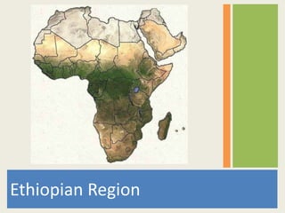 Ethiopian Region  