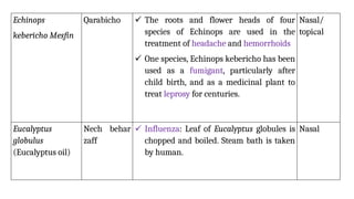 Ethiopian-Traditional-Medicine -[PC-I].pptx