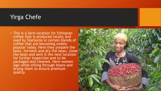 Yirga Chefe
• This is a farm location for Ethiopian
coffee that is produced locally and
used by Starbucks in certain blends of
coffee that are becoming widely
popular today. Here they prepare the
bean, ferment and dry the bean, clean
the bean and sent it the next location
for further inspection and to be
packaged and cleaned. Here women
sign while sifting through beans and
drying them to ensure premium
quality.
 