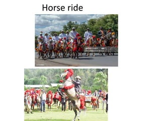 Horse ride
 