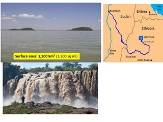 Surface area: 3,200 km2 (1,200 sq mi)
 