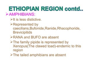 AMPHIBIANS:
It is less distictive.
Represented by
caecilians,Bufonide,Ranide,Rhacophoride,
Brevicipitids
RANA and BUFO are absent
The family pipide is represented by
Xenopus(The clawed toad)-endemic to this
region
The tailed amphibians are absent
 