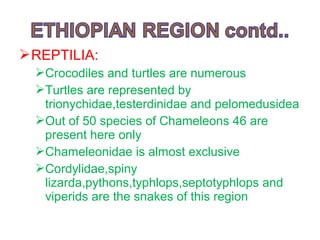 REPTILIA:
Crocodiles and turtles are numerous
Turtles are represented by
trionychidae,testerdinidae and pelomedusidea
Out of 50 species of Chameleons 46 are
present here only
Chameleonidae is almost exclusive
Cordylidae,spiny
lizarda,pythons,typhlops,septotyphlops and
viperids are the snakes of this region
 
