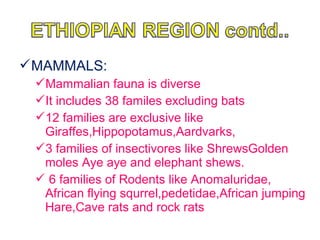 MAMMALS:
Mammalian fauna is diverse
It includes 38 familes excluding bats
12 families are exclusive like
Giraffes,Hippopotamus,Aardvarks,
3 families of insectivores like ShrewsGolden
moles Aye aye and elephant shews.
 6 families of Rodents like Anomaluridae,
African flying squrrel,pedetidae,African jumping
Hare,Cave rats and rock rats
 