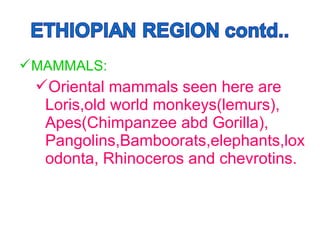 MAMMALS:
Oriental mammals seen here are
Loris,old world monkeys(lemurs),
Apes(Chimpanzee abd Gorilla),
Pangolins,Bamboorats,elephants,lox
odonta, Rhinoceros and chevrotins.
 