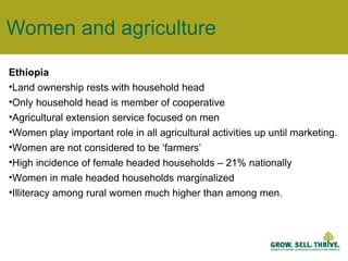 Women and agriculture Ethiopia Land ownership rests with household head Only household head is member of cooperative Agricultural extension service focused on men Women play important role in all agricultural activities up until marketing. Women are not considered to be ‘farmers’ High incidence of female headed households – 21% nationally Women in male headed households marginalized Illiteracy among rural women much higher than among men.  