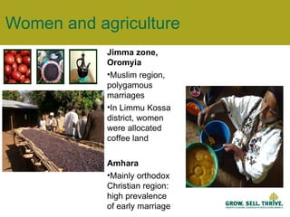 Women and agriculture Jimma zone, Oromyia Muslim region, polygamous marriages In Limmu Kossa district, women were allocated coffee land Amhara Mainly orthodox Christian region: high prevalence of early marriage 