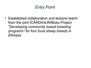 Update on sheep meat value chain in Ethiopia 